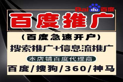 深度解析：竞价推广公司经典案例